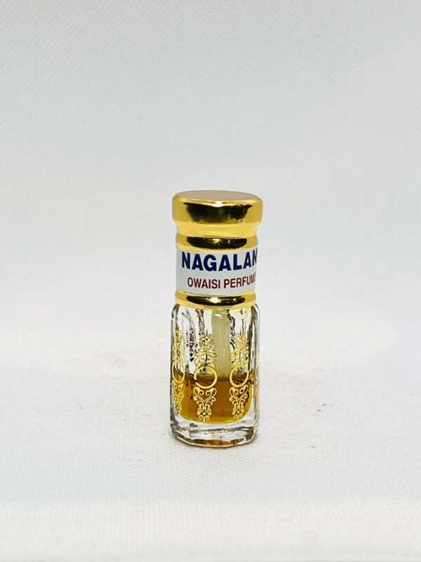 NAGALAND  BY OWAISI PERFUMES 1GRAM